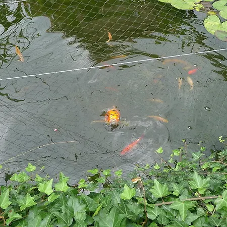 Bed and breakfast De Kleine Wijngaard