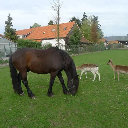 De Kleine Wijngaard 4*