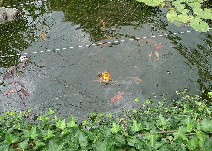 Bed and breakfast De Kleine Wijngaard