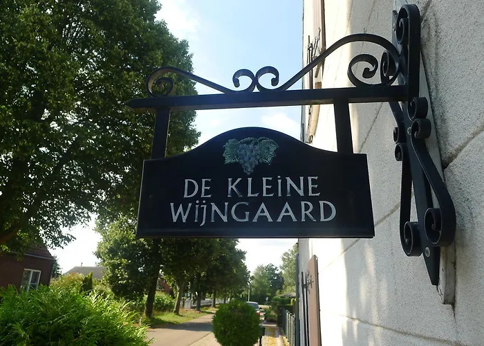 Bed & Breakfast De Kleine Wijngaard Roggel