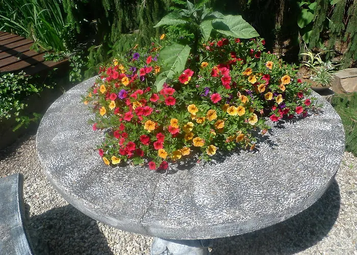 Bed and breakfast De Kleine Wijngaard