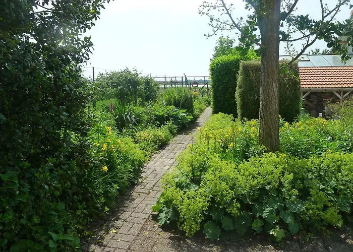 De Kleine Wijngaard 4*