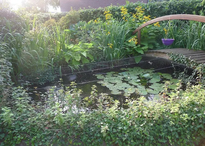 De Kleine Wijngaard Bed & Breakfast