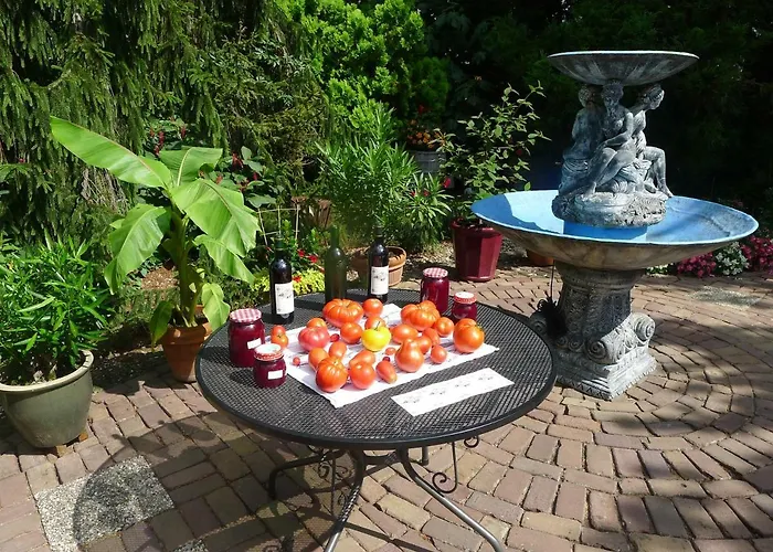 Bed and breakfast De Kleine Wijngaard 4*