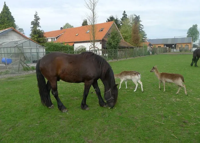 De Kleine Wijngaard 4*