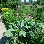 לינה וארוחת בוקר De Kleine Wijngaard