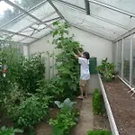 לינה וארוחת בוקר De Kleine Wijngaard 4*