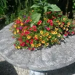 לינה וארוחת בוקר De Kleine Wijngaard