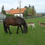 De Kleine Wijngaard 4*