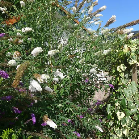 B&B De Kleine Wijngaard 로켈