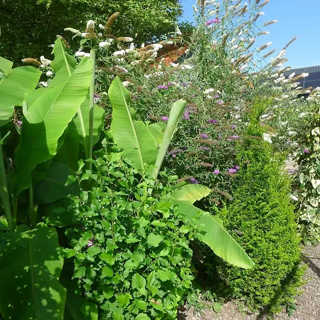 Frühstückspension De Kleine Wijngaard 4*
