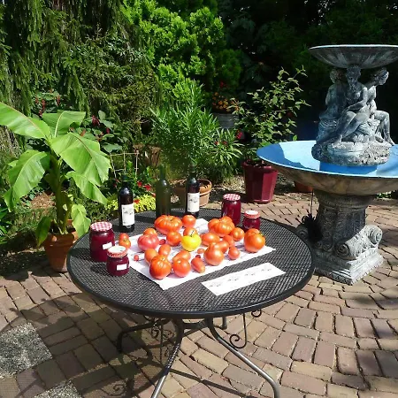 Frühstückspension De Kleine Wijngaard 4*