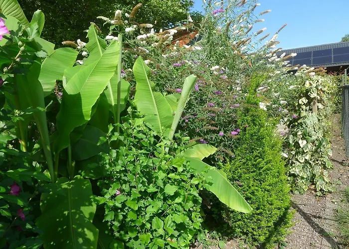 B&B De Kleine Wijngaard 4*