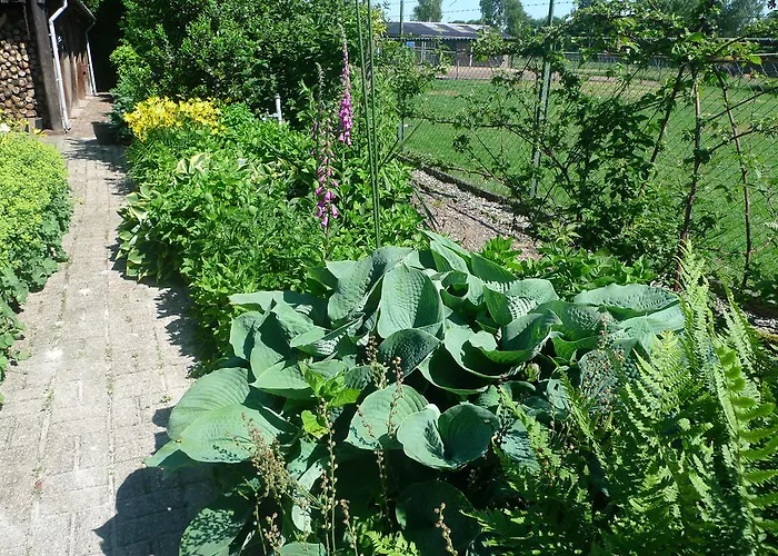 B&B De Kleine Wijngaard
