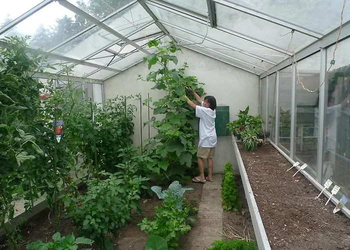 B&B De Kleine Wijngaard 4*