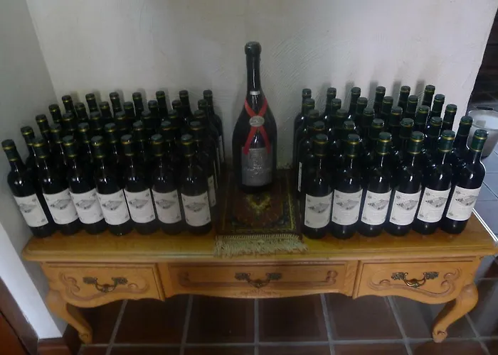 De Kleine Wijngaard B&B 4*